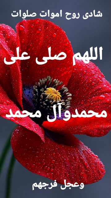 🕯عصرپنجشنبه است
🌸به یاد مسافران بهشتی،
🕯تمام سفرکرده ها..