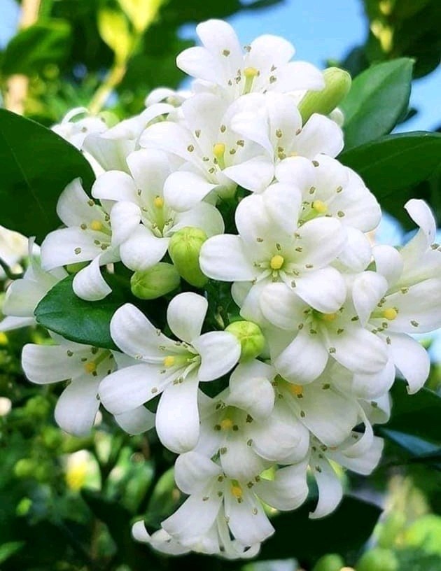 بچه هاتون رو با وعده ی جایزه شرطی بار نیارید