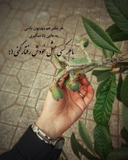 دقیقا😔😔👌👌 کیا قبول دارن؟ ؟