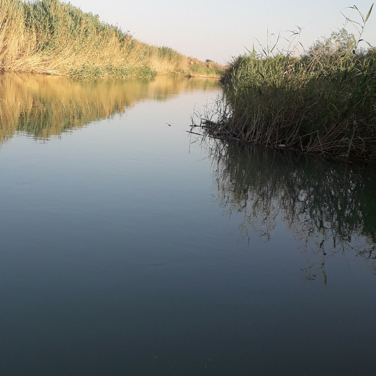 جای برای شنا و ماهی گیری 