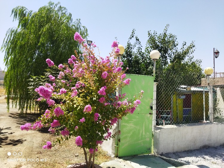 مهران لر...چقدر خوبه دلت خوش باشه🙄🤔👈😘🤩🥰