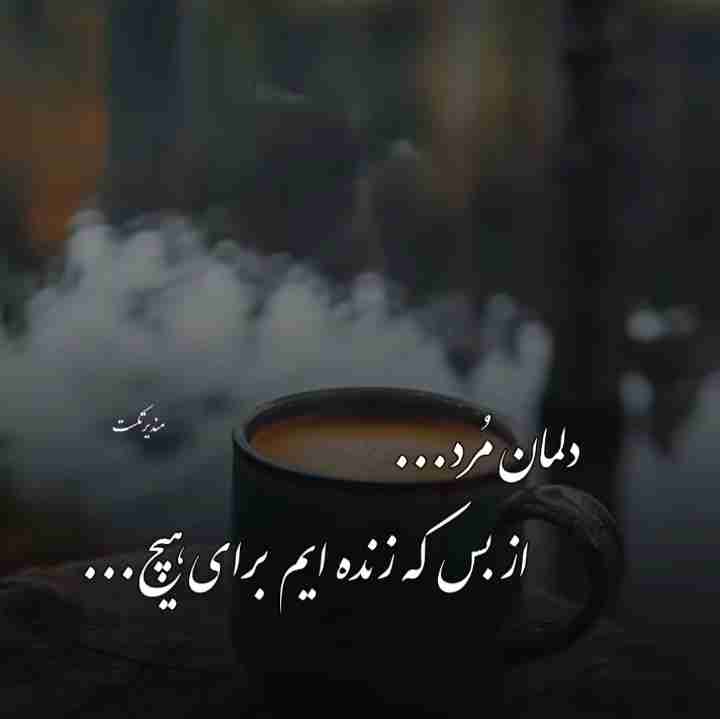 دلمان مُرد ،،،،
   از بس که زنده ایم برای هیچ ،،،،