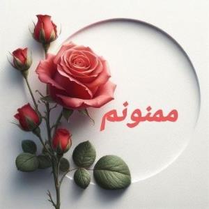 ممنونم از شما 🙏🌺🌺