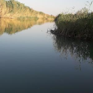 جای برای شنا و ماهی گیری 