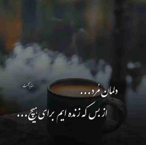 دلمان مُرد ،،،،
   از بس که زنده ایم برای هیچ ،،،،