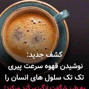 کشف جدید ،،،
نوشیدن قهوه سرعت پیری تک تک سلول های انسان را به طرز شگفت انگیزی کّند میکند ،،،،