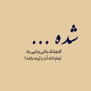 شده...