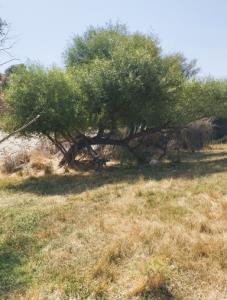 وقت بخیر دوستان