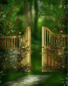 سلام عصر بخیر👇🌹👇