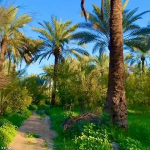 سلام شبتون خوووش 🌹🌹🌹