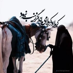 کربلا در کربلا می‌ماند اگر زینب نبود🏴
