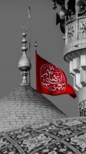 🏴عموی لاله ها...👇🏻