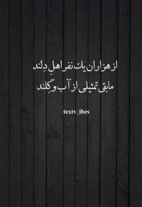 عصر بخیر ☕️🌸🌸