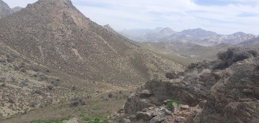 ماشین پیدا کنید