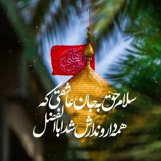 جانم به فدایت یا ابالفضل🖤💔🖤