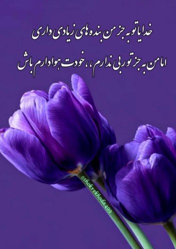 خدایا شکرت ❤️