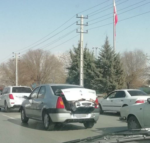 ال نود در حال زایمان😊