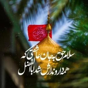 جانم به فدایت یا ابالفضل🖤💔🖤