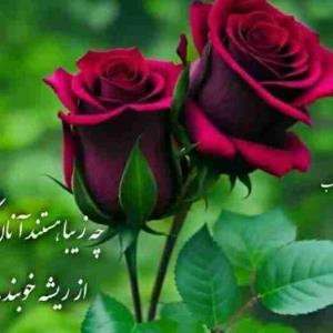 سلام 