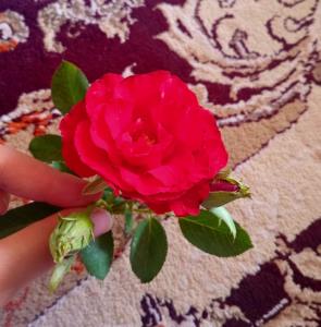 #شعر_#شهریار🥲🙃...کپشن👇👇...