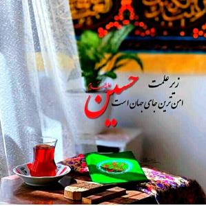 🎇 اَلسَّلامُ عَلَیْکَ یا اَباعَبْدِاللهِ 🖤🕊🕊🕊