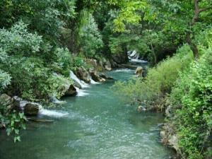 عصرتون شاد