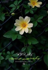  امید‌داشته‌باش‌حتی‌وقتی،امیدی‌به‌کارت‌نداری تو‌سختی‌که‌‌ 