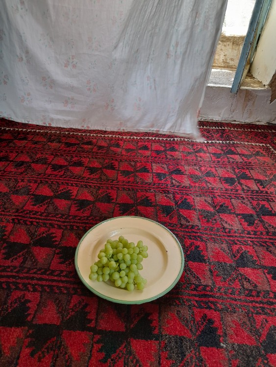 این پنجره حکم کولر رو داره😅عصبانی م نکنید وگرنه پست زیاد 