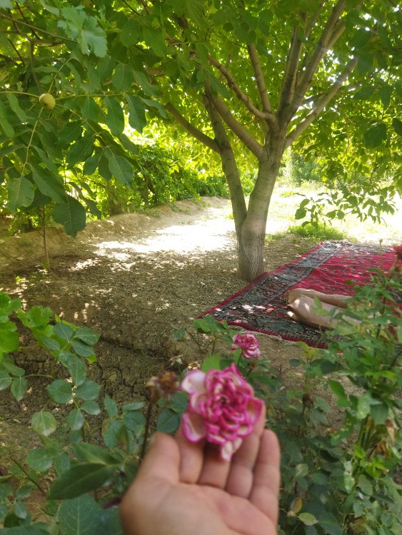 سلام عصر همه دوستان بخیر حال دلتون حسینی