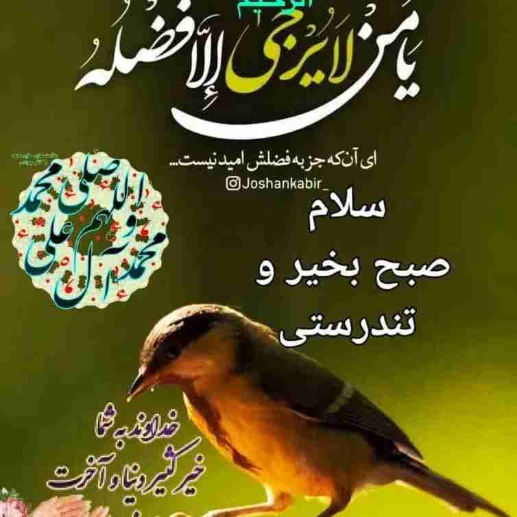 ♥️ سلام به حسین 🙏♥️
💚 سلام به گنبدطلاش
♥️ سلام به محرم 
💚 سلام به همه عزاداران
♥️ سلام من به کربلا به
💚 قبر شش گوشه حسین
♥️ سلام به تمام دوستان
💚 روزتان حسین پسند ♥️
۱۴۰۴/۰۴/۱۵
🍃🌸🍃🌸🍃🌸🍃🇮🇷