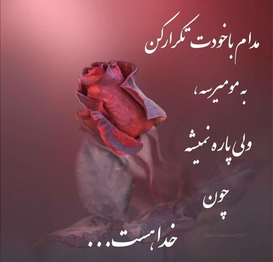 سن سون 