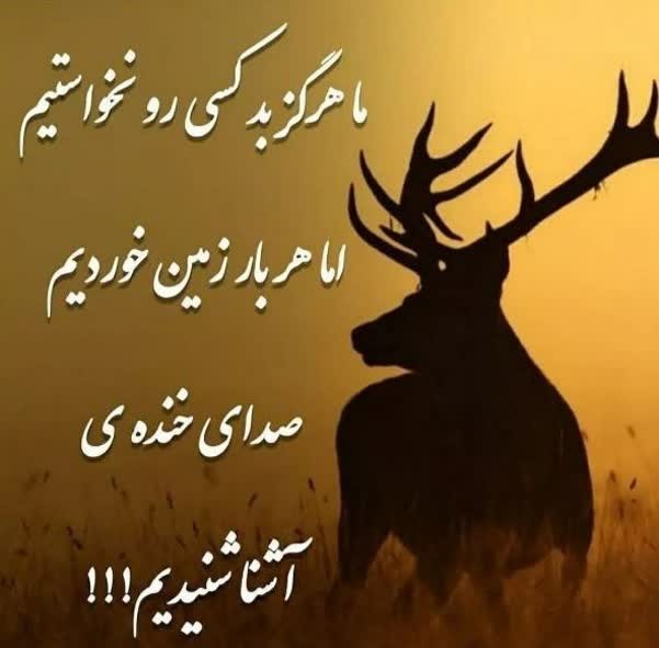 سن سون 