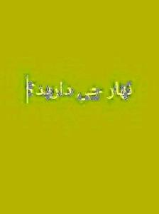 سوال پرسیدم نهار خوردی نوش جان انشاالله همیشه شاد باشی 