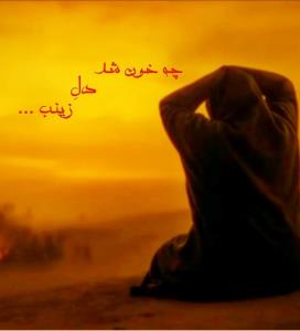 یا زینب (س) مظلومه 💔