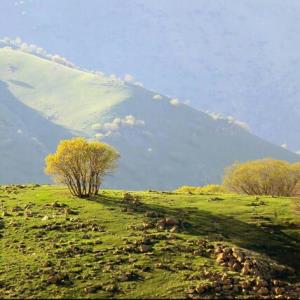 زندگیتون بی دغدغه