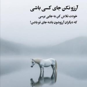 آرزو نکن جای کسی باشی خودت تلاش کن...🍃✔️
