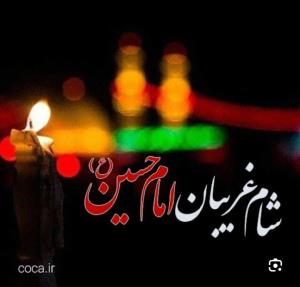 امان از دل زینب جان عالم به فدایت یا حسین😭
