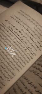 مجنون الحسین❤