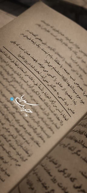 مجنون الحسین❤