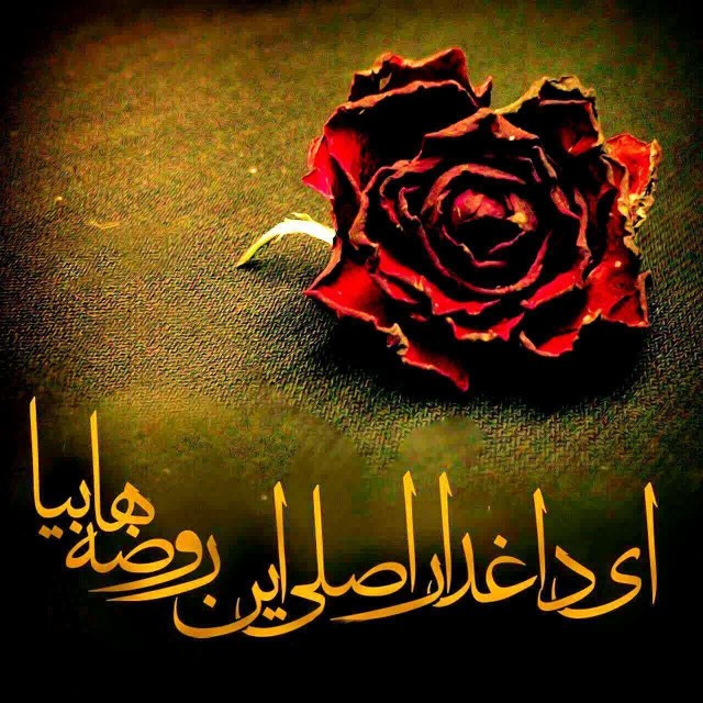 سن سون 