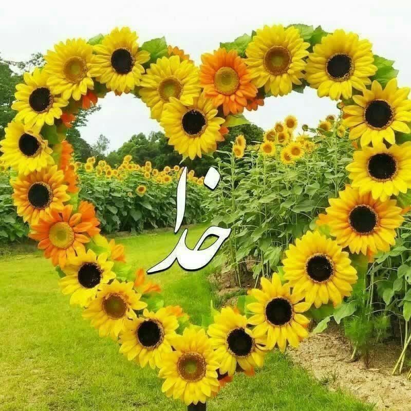 خدا❤️❤️❤️❤️