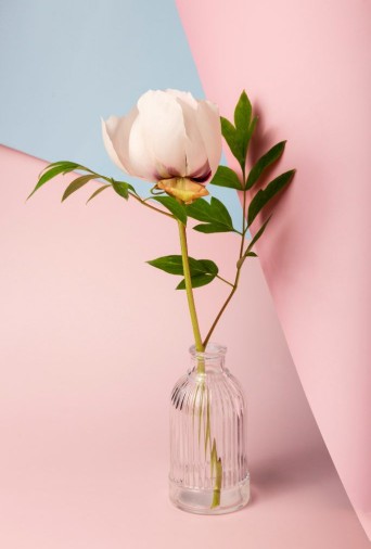 🌱💕🍃