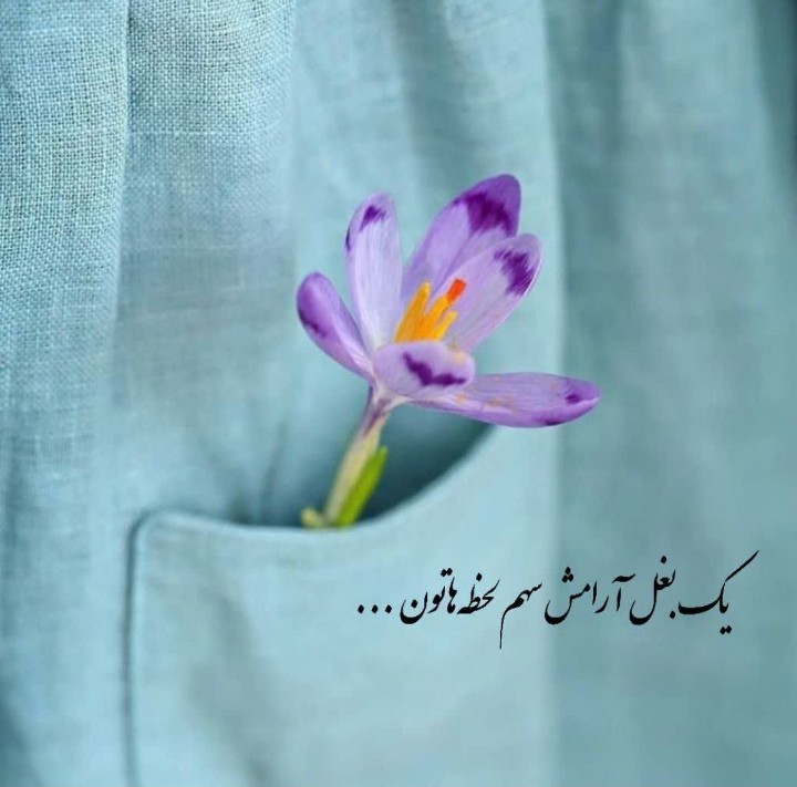 💛روز وروزگارتون بخیر وشادی 💛