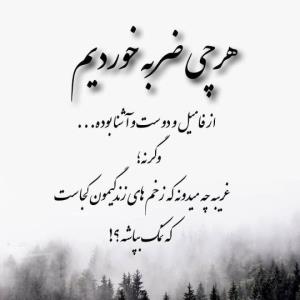 مرد جنوب 