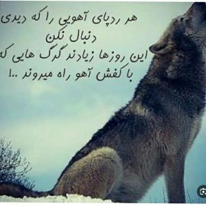 آره با خود گرگتم....لعنت به هر چی آدم بدذات که تو آخرشی