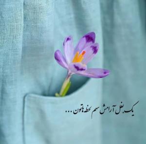 💛روز وروزگارتون بخیر وشادی 💛