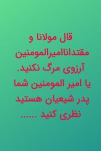 سلام بر سرور وآقای مؤمنان دو عالم امیر المومنین اسدالله 