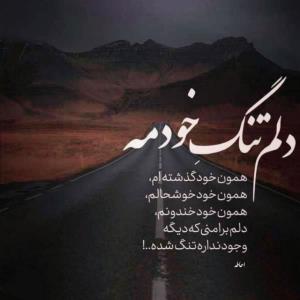 مرد جنوب 