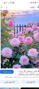 سلام صبح همگی بخیر وخوشی