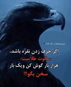 سکوت طلاست...